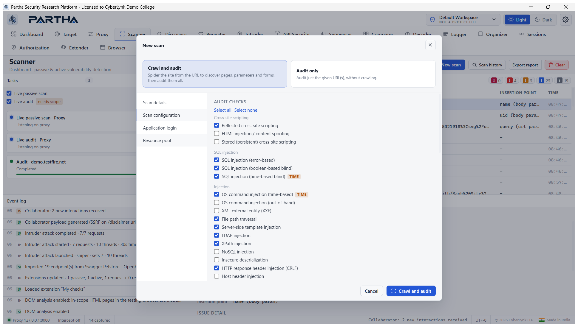 Scan configuration — audit checks