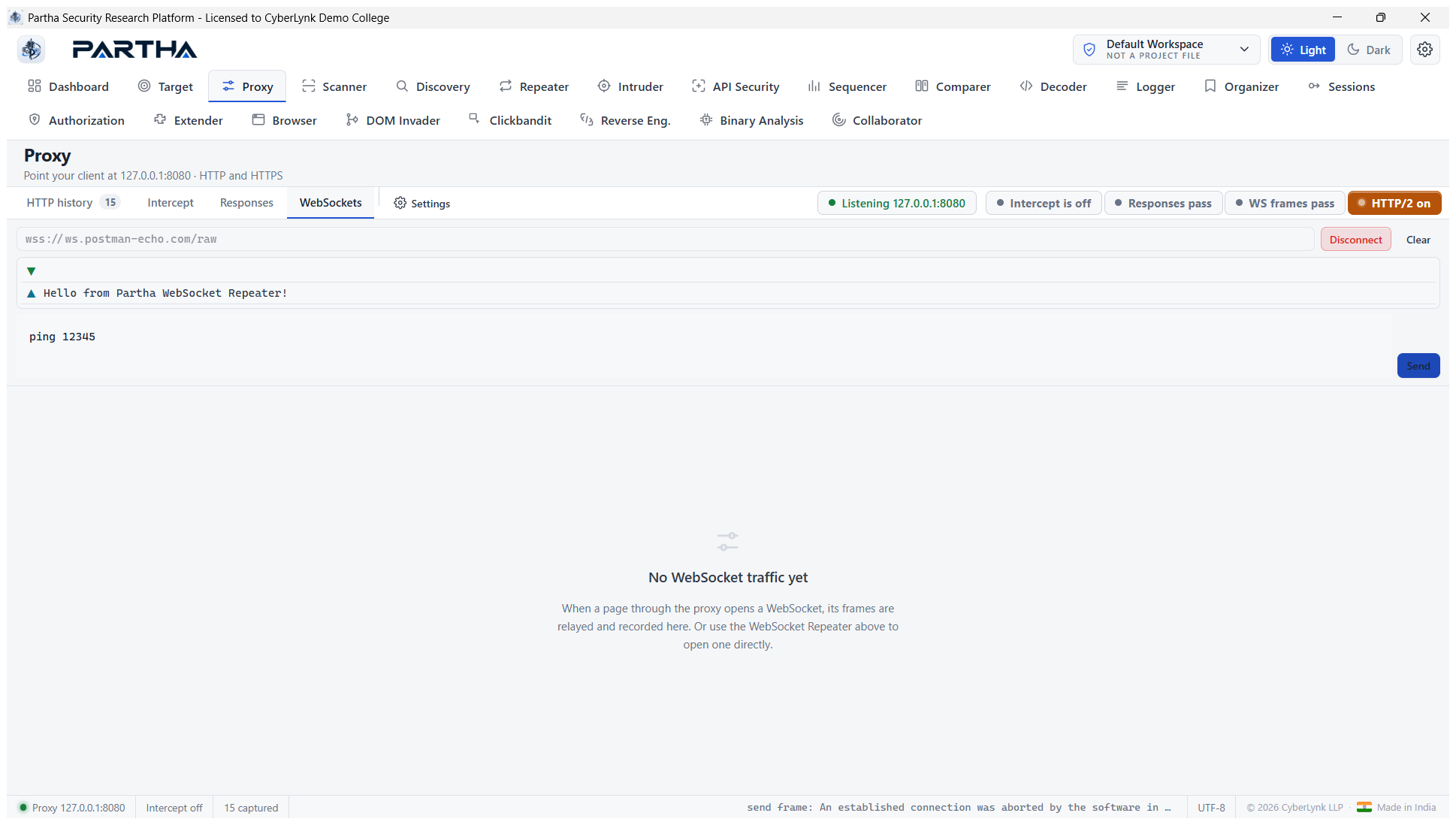WebSocket Repeater connected + frame sent